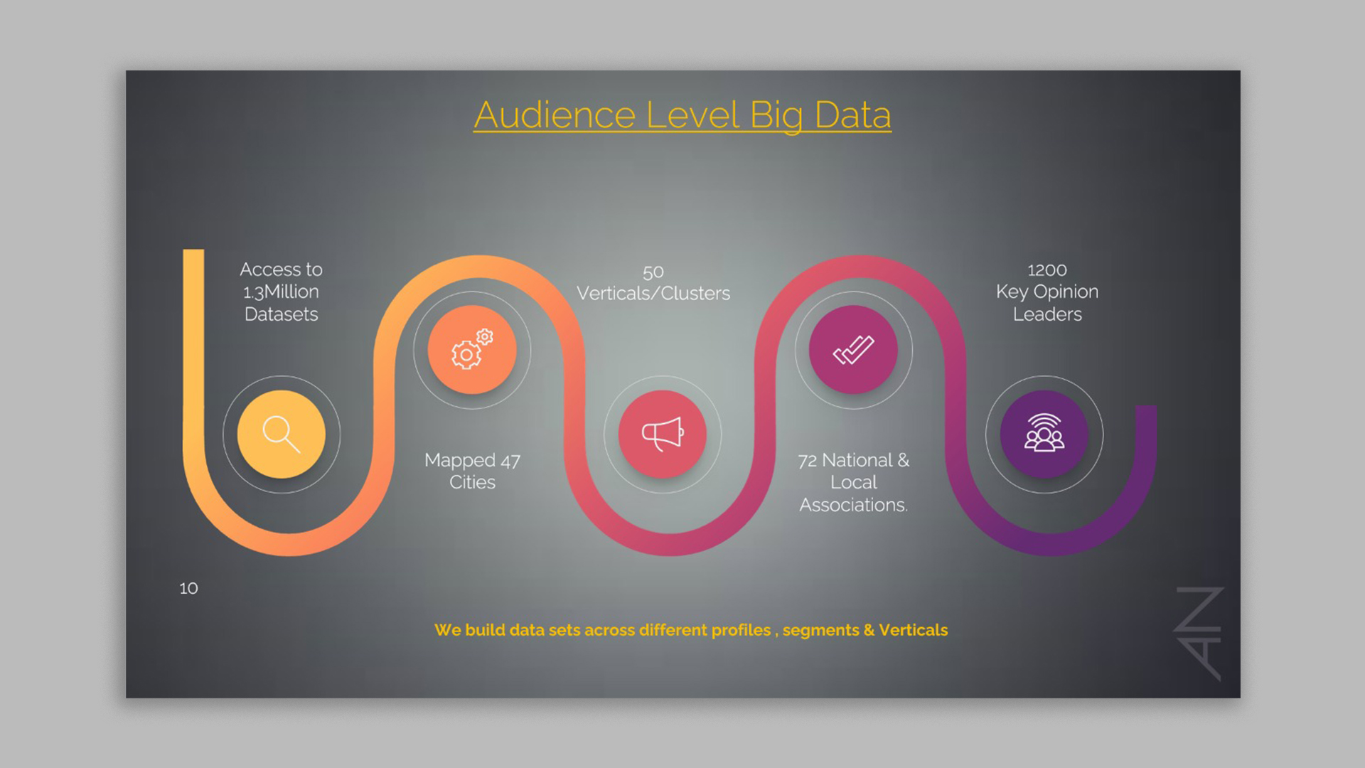 Audience Level Big Data